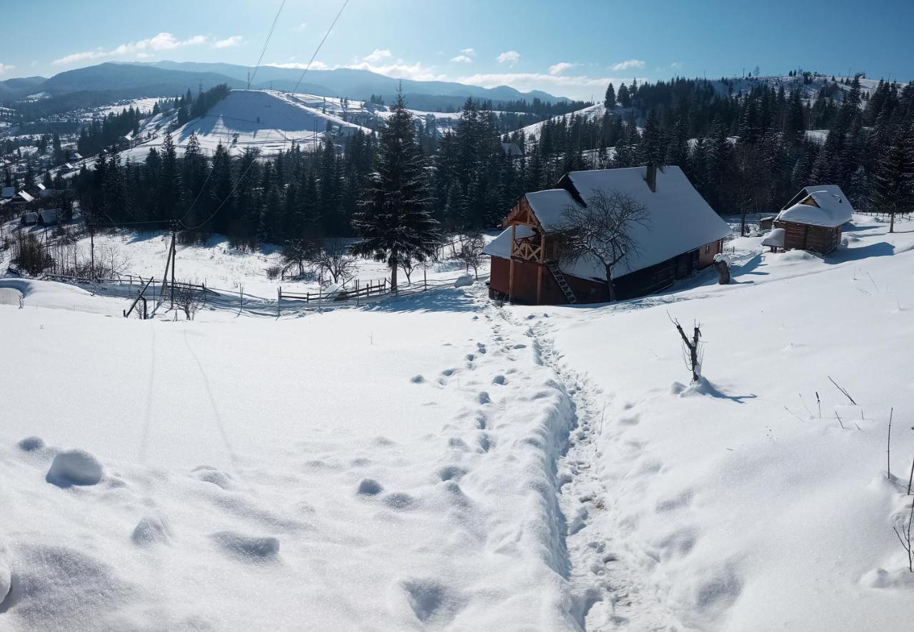 Приватна Садиба "Світлиця Гуцульщини" Vorokhta Bagian luar foto